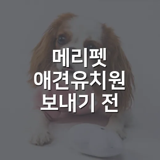 메리펫 애견유치원 보내기 전 확인할 5가지 기준 - 요약