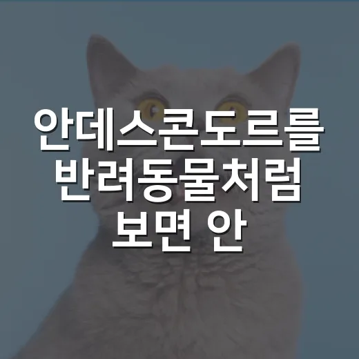 안데스콘도르를 반려동물처럼 보면 안 되는 5가지 이유 - 요약