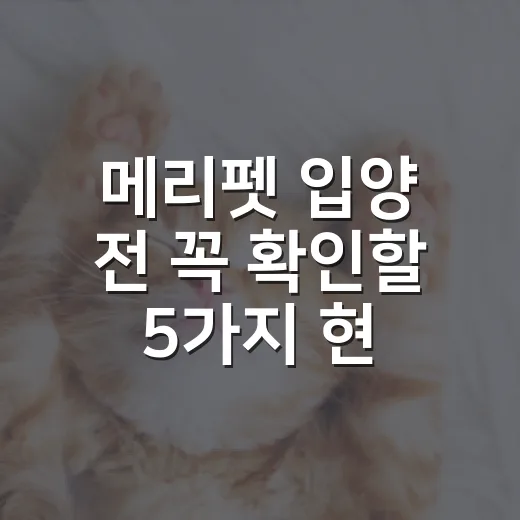 메리펫 입양 전 꼭 확인할 5가지 현실 체크 - 요약