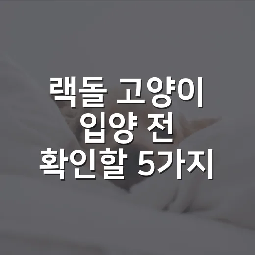 랙돌 고양이 입양 전 확인할 5가지 현실 체크 - 요약