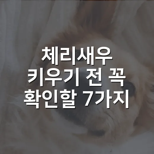 체리새우 키우기 전 꼭 확인할 7가지 - 요약