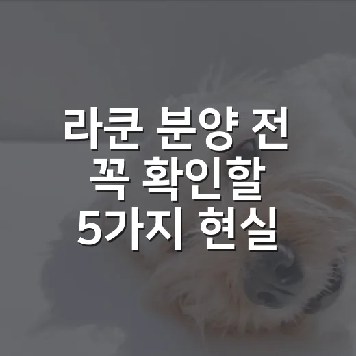 라쿤 분양 전 꼭 확인할 5가지 현실 조건 - 요약