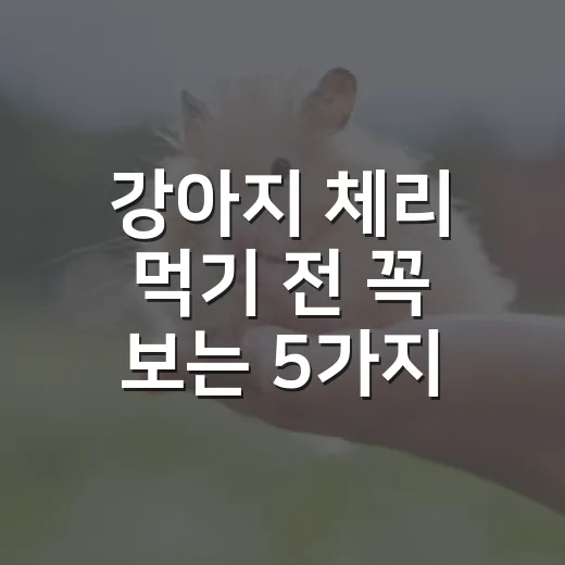 강아지 체리 먹기 전 꼭 보는 5가지 기준 - 요약
