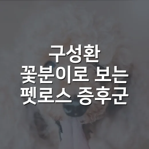 구성환 꽃분이로 보는 펫로스 증후군 5가지 신호와 버티는 방법 - 요약