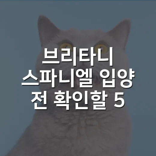 브리타니 스파니엘 입양 전 확인할 5가지 현실 조건 - 요약