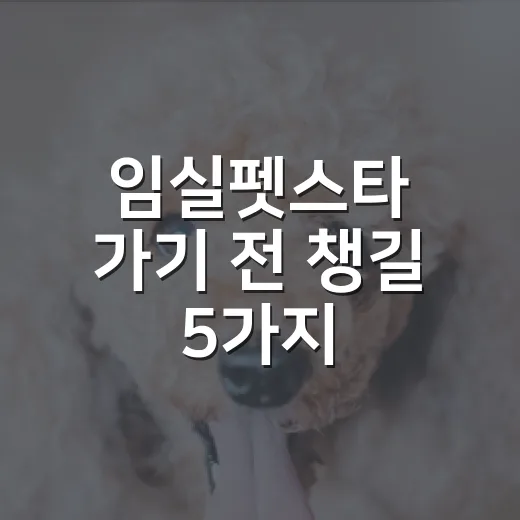 임실펫스타 가기 전 챙길 5가지: 보호소 봉사자가 보는 반려견 축제 준비 - 요약