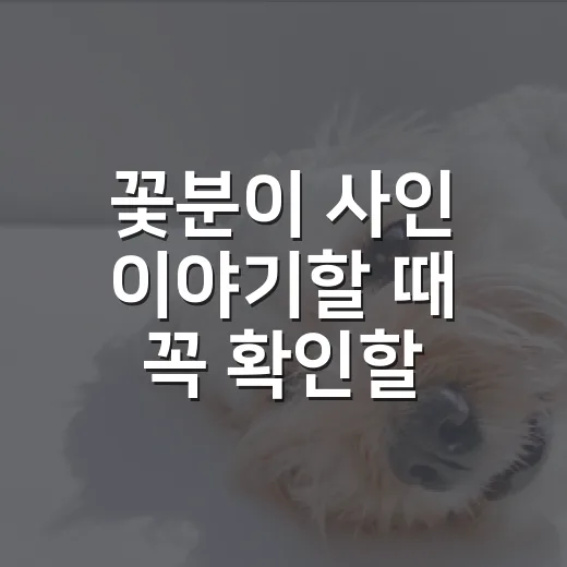 꽃분이 사인 이야기할 때 꼭 확인할 5가지 - 요약