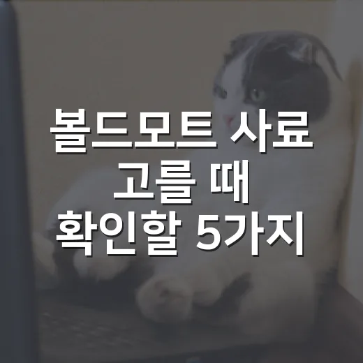 볼드모트 사료 고를 때 확인할 5가지 숫자 - 요약
