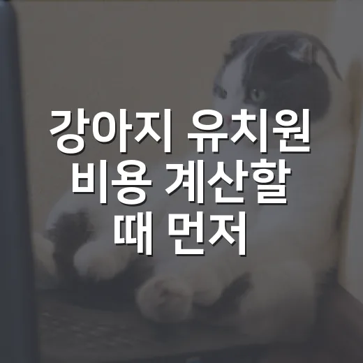 강아지 유치원 비용 계산할 때 먼저 보는 5가지 숫자 - 요약