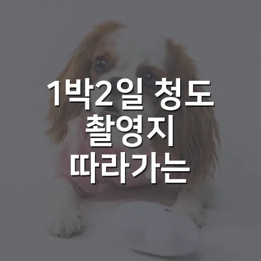 1박2일 청도 촬영지 따라가는 4가지 현실 코스 - 요약