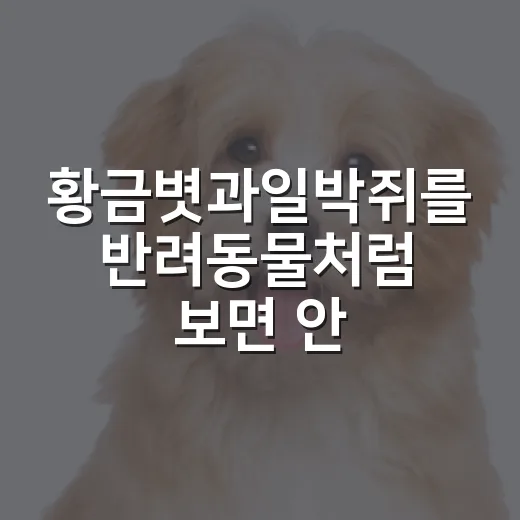 황금볏과일박쥐를 반려동물처럼 보면 안 되는 5가지 이유 - 요약