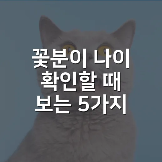 꽃분이 나이 확인할 때 보는 5가지 기준 - 요약