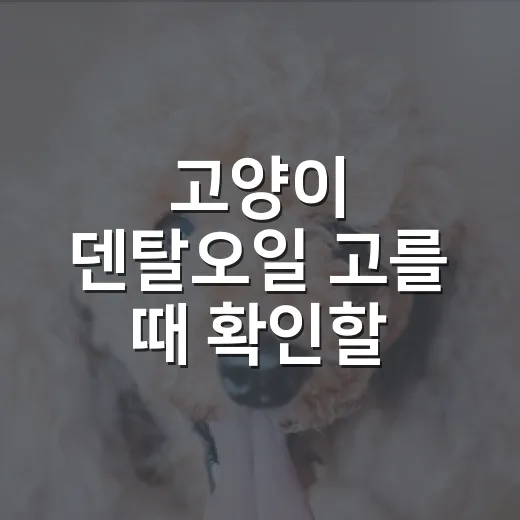 고양이 덴탈오일 고를 때 확인할 5가지 기준 - 요약