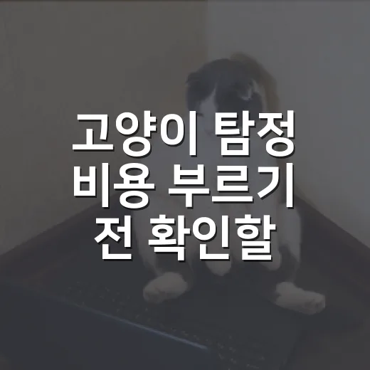 고양이 탐정 비용 부르기 전 확인할 5가지 기준 - 요약