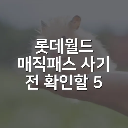 롯데월드 매직패스 사기 전 확인할 5가지 기준 - 요약