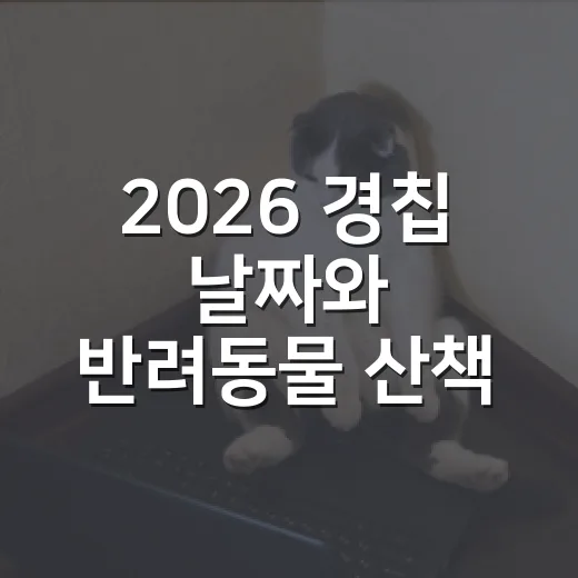 2026 경칩 날짜와 반려동물 산책 전 체크할 5가지 - 요약