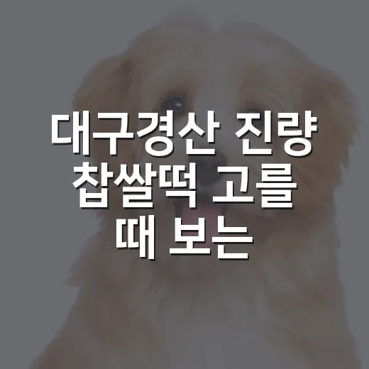 대구경산 진량 찹쌀떡 고를 때 보는 5가지 기준 - 요약