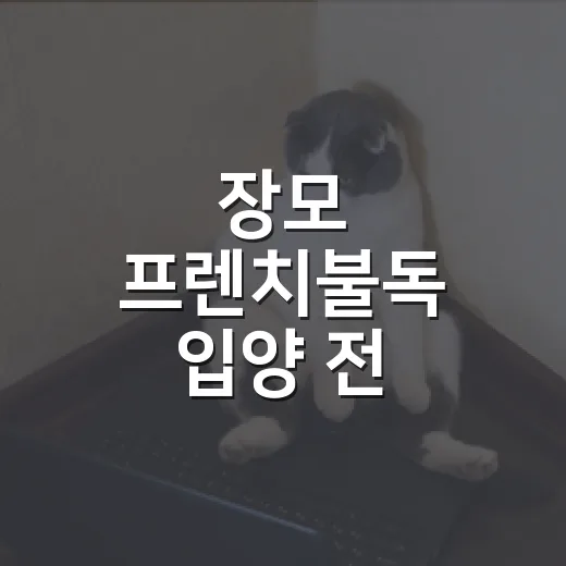 장모 프렌치불독 입양 전 확인할 5가지 현실 - 요약