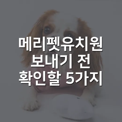 메리펫유치원 보내기 전 확인할 5가지 현실 체크 - 요약