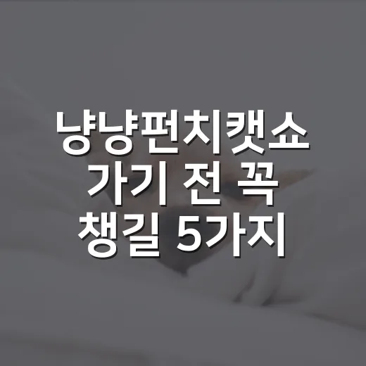 냥냥펀치캣쇼 가기 전 꼭 챙길 5가지 기준 - 요약