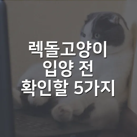 렉돌고양이 입양 전 확인할 5가지 책임 포인트 - 요약