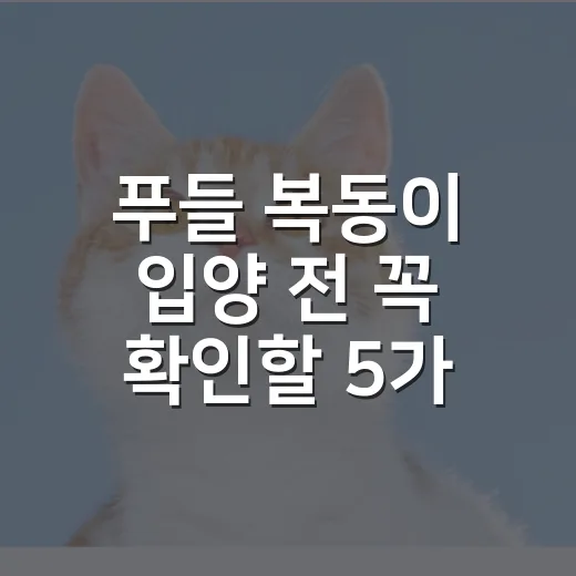 푸들 복동이 입양 전 꼭 확인할 5가지 현실 체크 - 요약