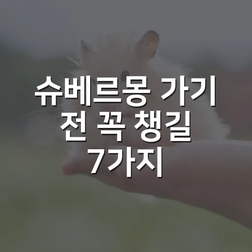 슈베르몽 가기 전 꼭 챙길 7가지 - 요약