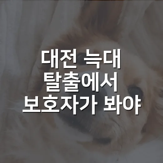 대전 늑대 탈출에서 보호자가 봐야 할 5가지 책임 - 요약