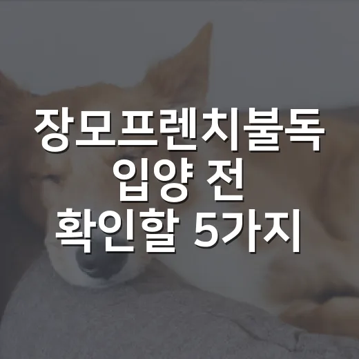 장모프렌치불독 입양 전 확인할 5가지 현실 체크 - 요약