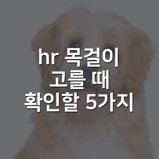 hr 목걸이 고를 때 확인할 5가지 기준 - 요약