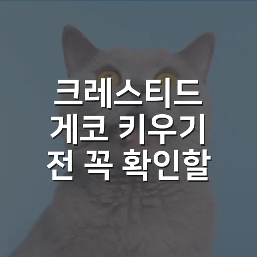 크레스티드 게코 키우기 전 꼭 확인할 7가지 숫자 - 요약