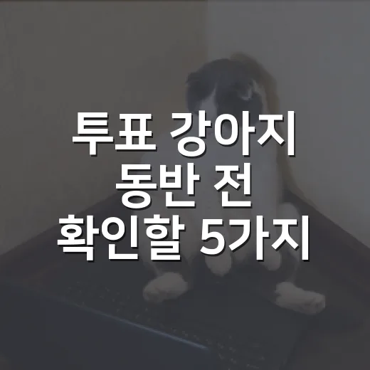 투표 강아지 동반 전 확인할 5가지 현실 체크 - 요약