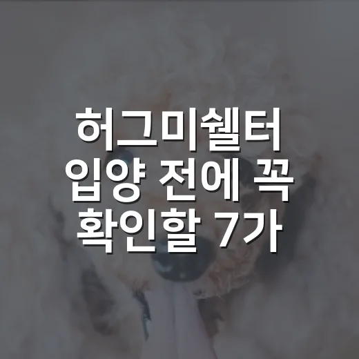 허그미쉘터 입양 전에 꼭 확인할 7가지 책임 체크리스트 - 요약