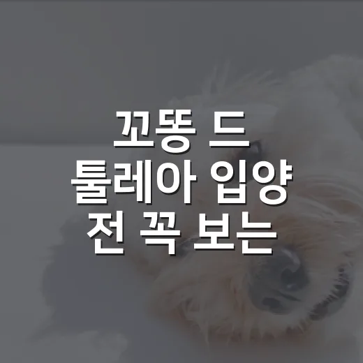 꼬똥 드 툴레아 입양 전 꼭 보는 5가지 현실 체크 - 요약