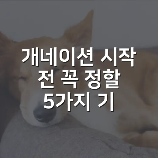 개네이션 시작 전 꼭 정할 5가지 기준 - 요약