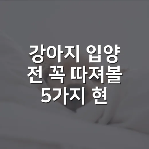 강아지 입양 전 꼭 따져볼 5가지 현실 체크 - 요약