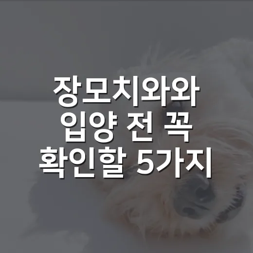 장모치와와 입양 전 꼭 확인할 5가지 숫자 - 요약
