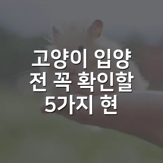 고양이 입양 전 꼭 확인할 5가지 현실 체크 - 요약
