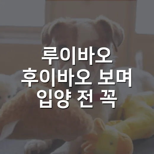루이바오 후이바오 보며 입양 전 꼭 생각할 5가지 - 요약