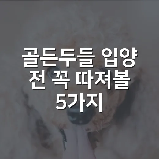 골든두들 입양 전 꼭 따져볼 5가지 현실 조건 - 요약