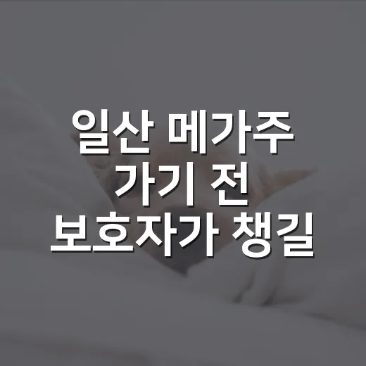 일산 메가주 가기 전 보호자가 챙길 5가지 기준 - 요약