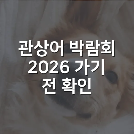 관상어 박람회 2026 가기 전 확인할 5가지 책임 체크 - 요약