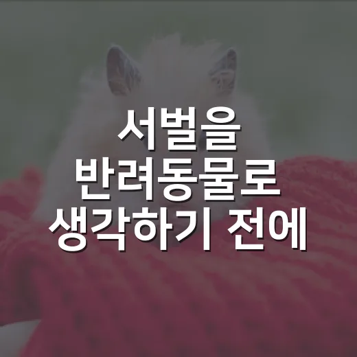 서벌을 반려동물로 생각하기 전에 따질 5가지 현실 - 요약