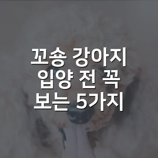 꼬숑 강아지 입양 전 꼭 보는 5가지 체크포인트 - 요약