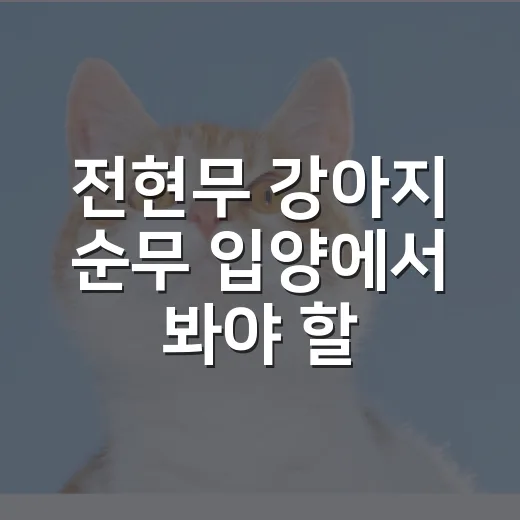 전현무 강아지 순무 입양에서 봐야 할 5가지 책임 - 요약