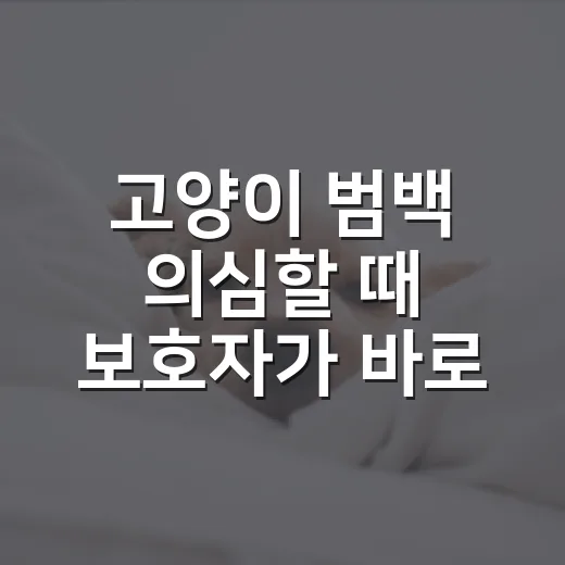 고양이 범백 의심할 때 보호자가 바로 해야 할 5가지 - 요약