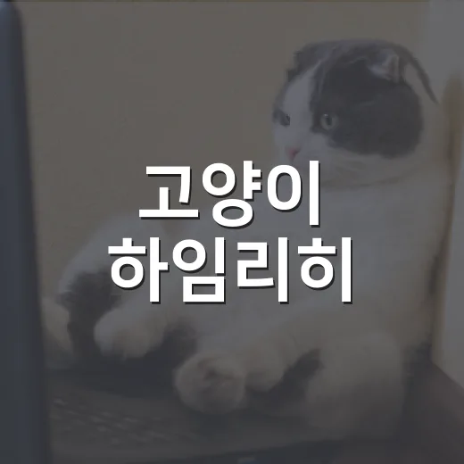 고양이 하임리히, 집사가 알아둘 5단계 응급 대처 - 요약