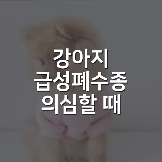강아지 급성폐수종 의심할 때 보호자가 봐야 할 5가지 신호 - 요약