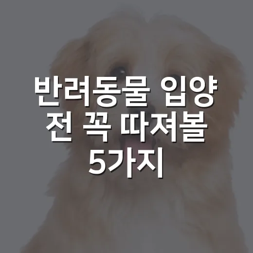 반려동물 입양 전 꼭 따져볼 5가지 책임 - 요약