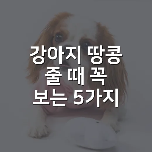 강아지 땅콩 줄 때 꼭 보는 5가지 기준 - 요약